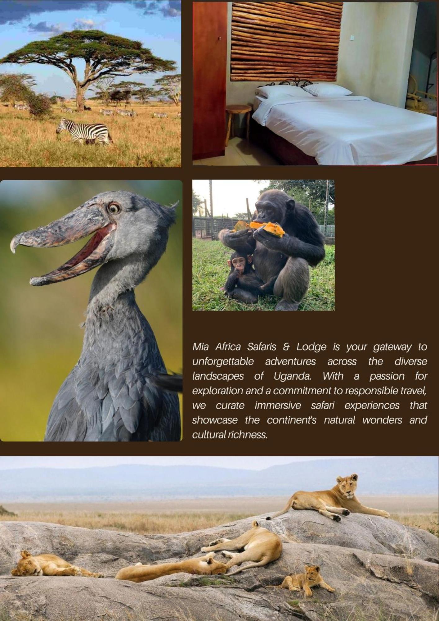 Mia Safari Lodge And Restaurant Entebbe Extérieur photo